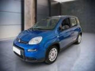 Fiat Panda 1.0 firefly hybrid s&s 70cv 5p.ti nuova