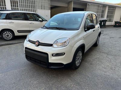 Fiat Panda 1.0 firefly hybrid s&s 70cv 5p.ti nuova