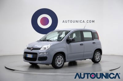 Fiat Panda 1.0 firefly hybrid s&s 70cv 5p.ti usata