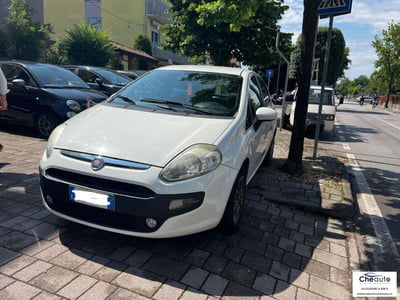 Fiat Punto 1.2 8V 5 porte Lounge usata