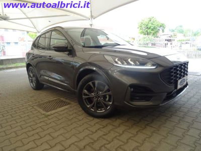 Ford Kuga 1.5 EcoBoost 150 CV 2WD ST-Line usata