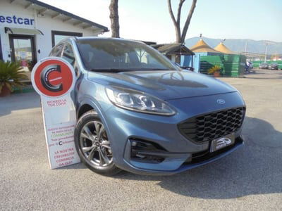 Ford Kuga 1.5 EcoBlue 120 CV aut. 2WD ST-Line X Design usata