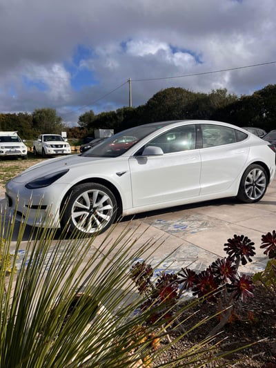 Tesla Model 3 Model 3 Standard RWD Plus usata
