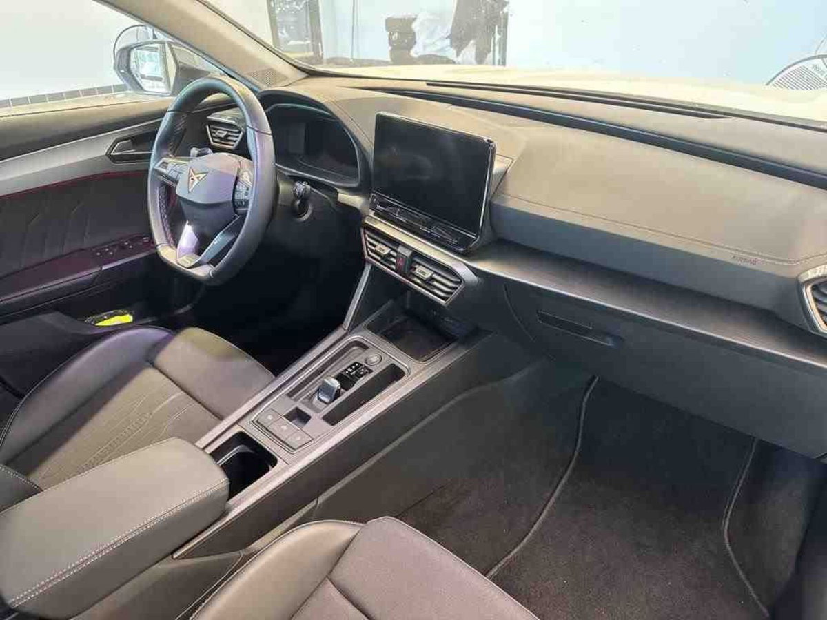 Cupra Formentor Formentor 1.5 TSI (4)