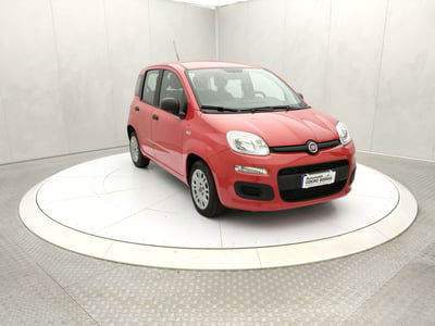 Fiat Panda Cross Cross 1.0 FireFly S&S Hybrid usata