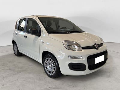 Fiat Panda 1.0 FireFly S&S Hybrid City Cross usata