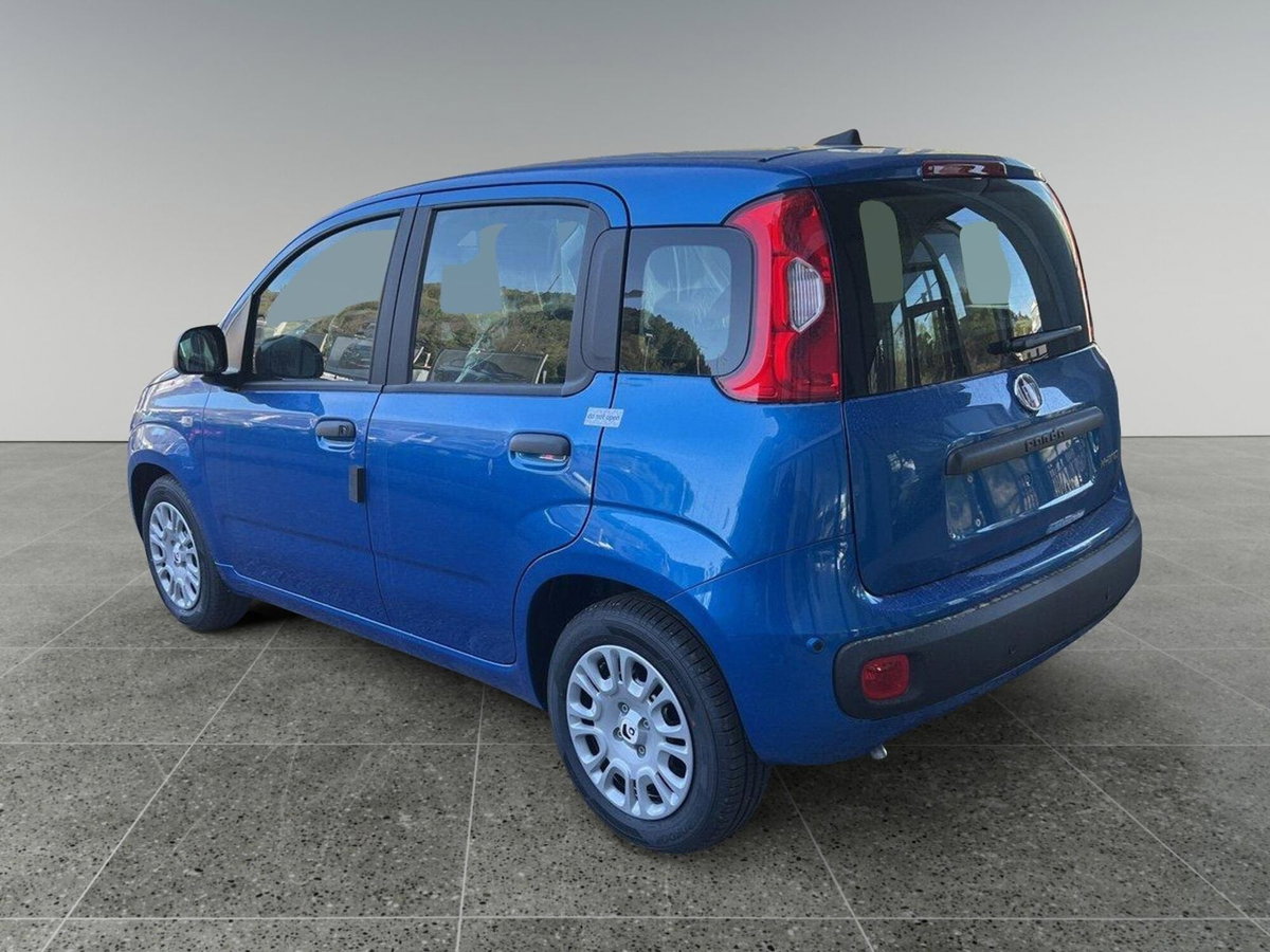 Fiat Panda Cross Cross 1.0 FireFly S&S Hybrid (3)