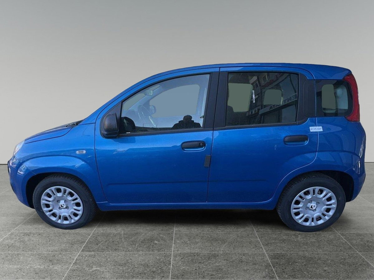 Fiat Panda Cross Cross 1.0 FireFly S&S Hybrid (6)