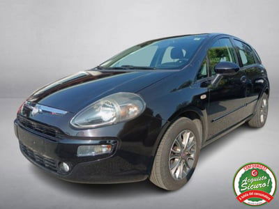 Fiat Punto 1.2 8V 5 porte Easy usata