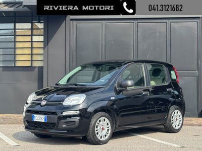 Fiat Panda 1.2 Pop usata