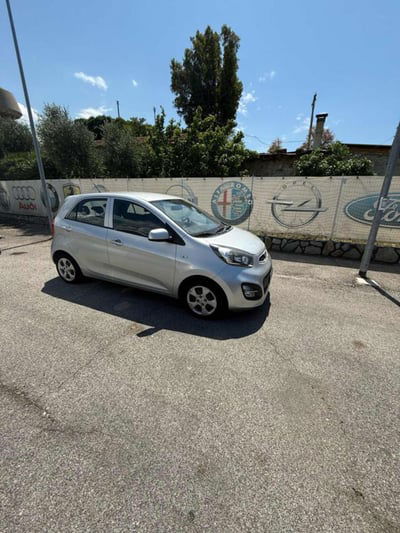 Kia Picanto 1.0 12V 5 porte Cool usata