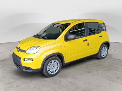 Fiat Panda 1.0 firefly hybrid s&s 70cv 5p.ti nuova