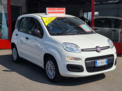 Fiat Panda 1.2 Easy usata