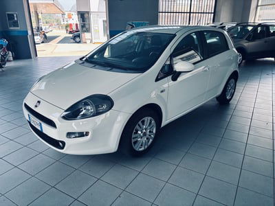 Fiat Punto 1.2 8V 5 porte Lounge usata