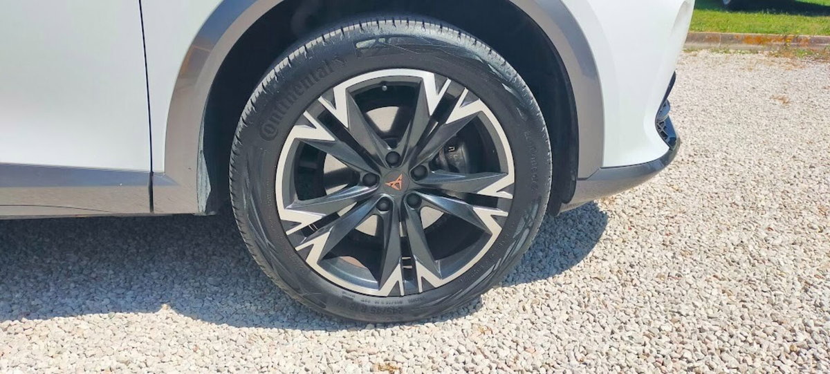 Cupra Formentor Formentor 2.0 tdi 4drive 150cv dsg (5)