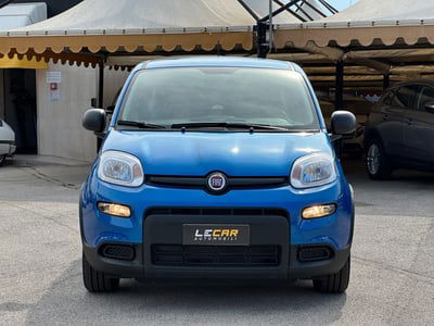 Fiat Panda 1.0 firefly hybrid Pop s&s 70cv usata