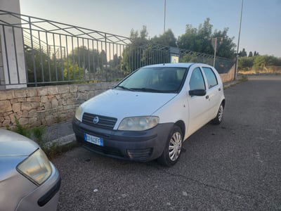 Fiat Punto 1.2i cat 5 porte Feel usata