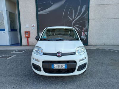 Fiat Panda 1.2 Easy usata