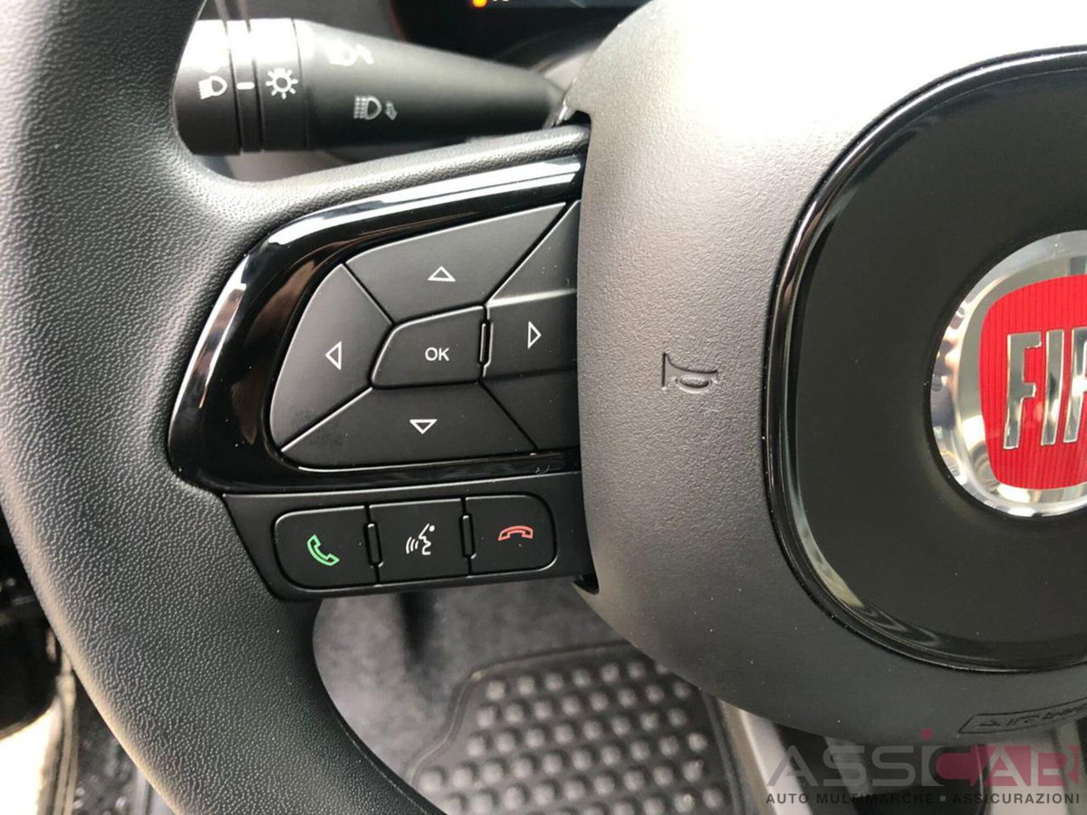 Fiat Panda Cross Cross 1.0 FireFly S&S Hybrid (11)