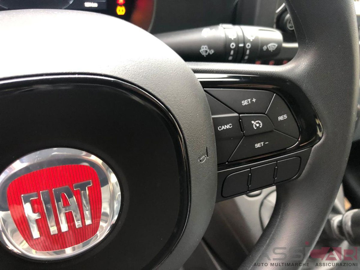 Fiat Panda Cross Cross 1.0 FireFly S&S Hybrid (14)