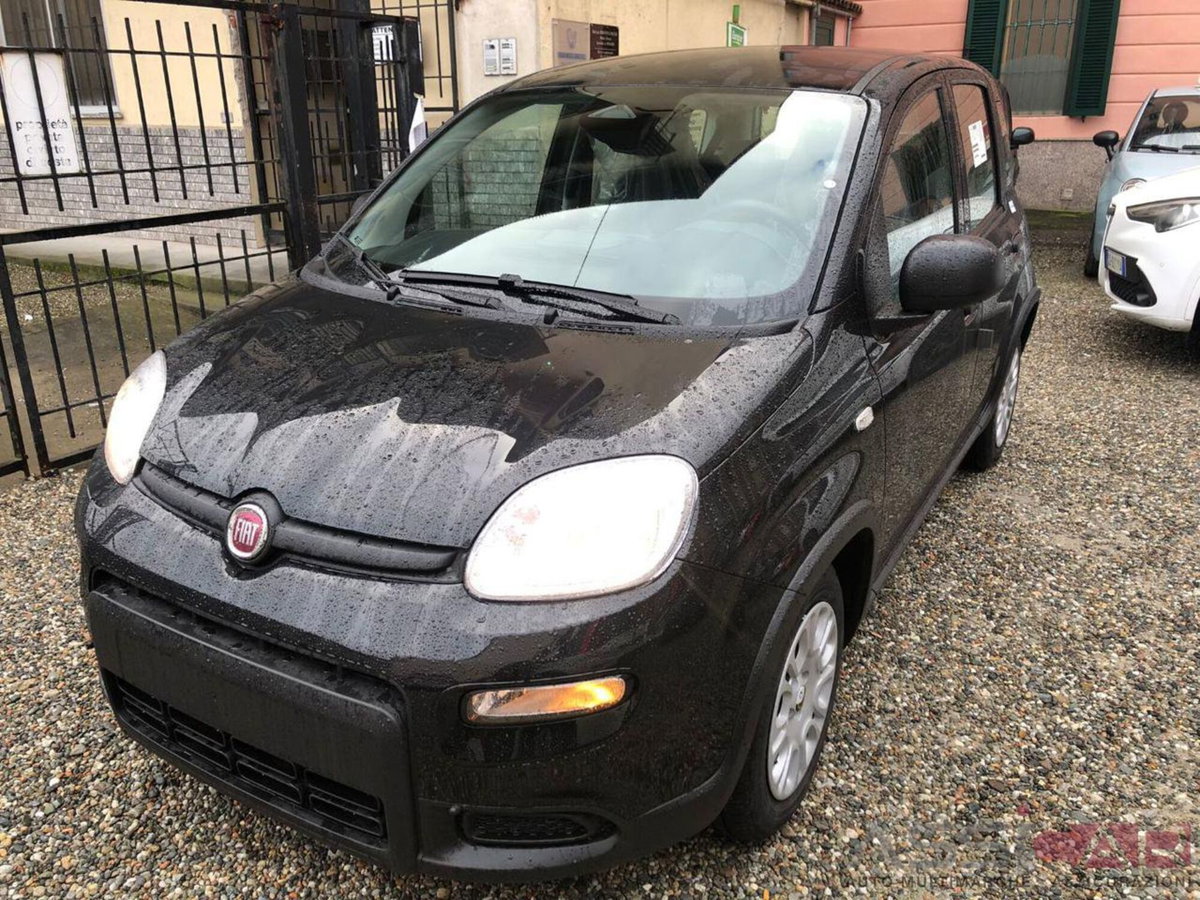 Fiat Panda Cross Cross 1.0 FireFly S&S Hybrid (3)