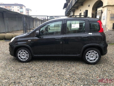 Fiat Panda Cross Cross 1.0 FireFly S&S Hybrid (4)