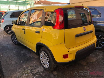 Fiat Panda Cross Cross 1.0 FireFly S&S Hybrid (4)