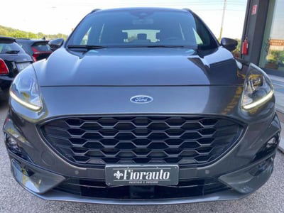 Ford Kuga 1.5 EcoBlue 120 CV 2WD ST-Line usata