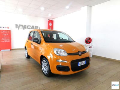 Fiat Panda 1.0 FireFly S&S Hybrid City Cross usata