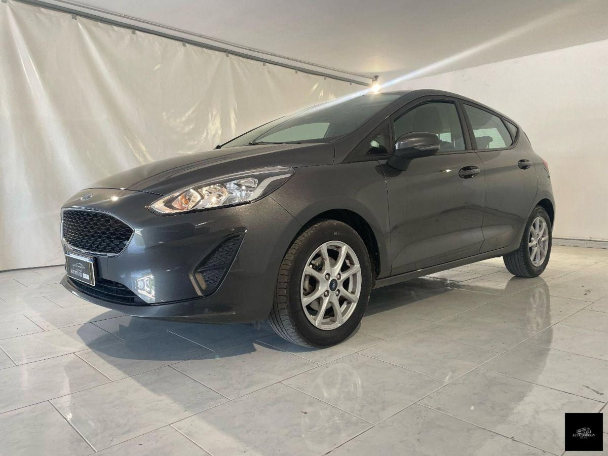 Ford Fiesta 1.1 75 CV GPL 5 porte Titanium (2)