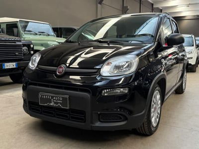Fiat Panda 1.0 firefly hybrid s&s 70cv usata