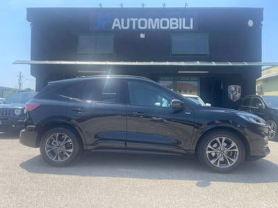 Ford Kuga 2.0 EcoBlue 120 CV aut. 2WD ST-Line X usata