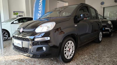 Fiat Panda 1.2 Easy usata