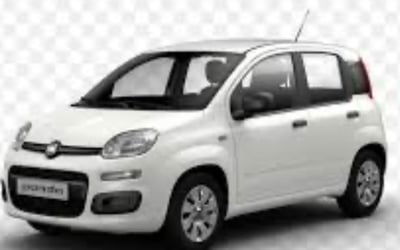 Fiat Panda 1.2 Pop usata