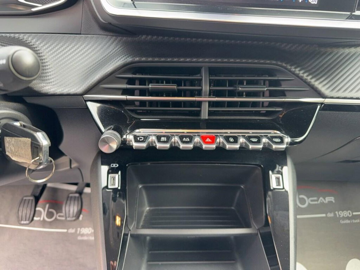 Peugeot 208 PureTech 100 Stop&Start 5 porte Active (15)