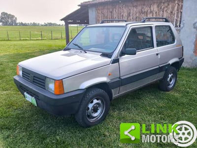 Fiat Panda 1100 i.e. cat 4x4 Trekking usata