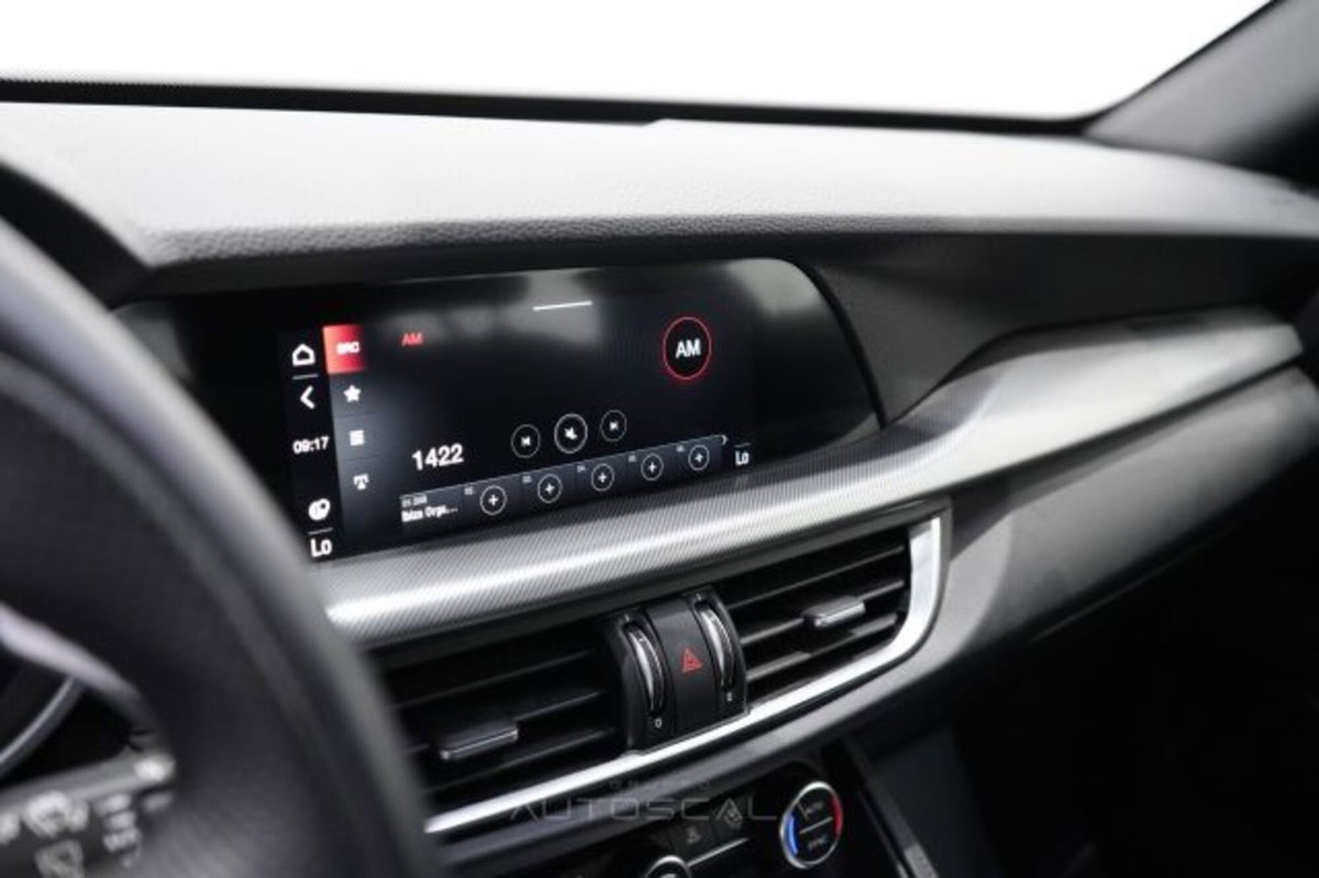Alfa Romeo Stelvio Stelvio 2.2 Turbodiesel 160 CV AT8 RWD Sprint (17)
