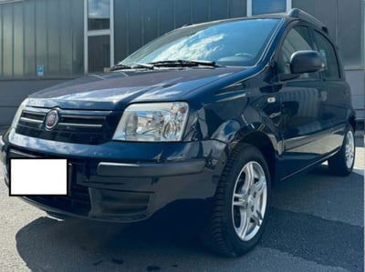 Fiat Panda 1.2 Dynamic usata