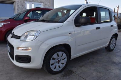Fiat Panda 1.2 Pop usata