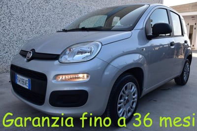 Fiat Panda 1.2 Easy usata