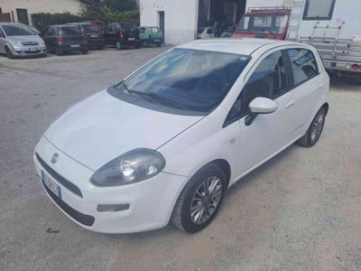 Fiat Punto 1.2 8V 5 porte Lounge usata