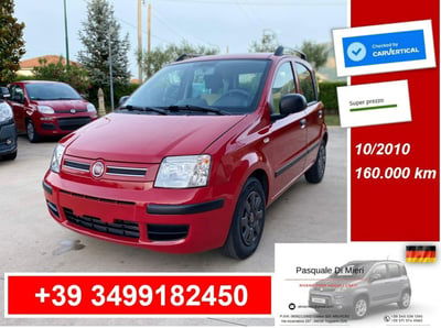 Fiat Panda 1.2 Dynamic Mamy usata