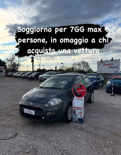 Fiat Punto 1.3 MJT II 75 CV 3 porte Street usata