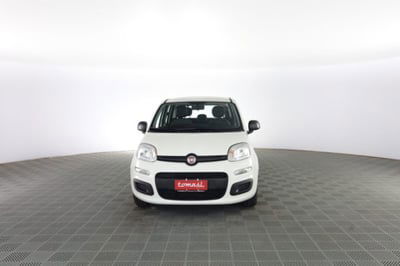 Fiat Panda 1.0 firefly hybrid Pop s&s 70cv usata