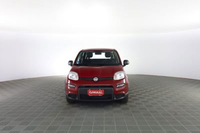 Fiat Panda 1.0 firefly hybrid Pop s&s 70cv usata