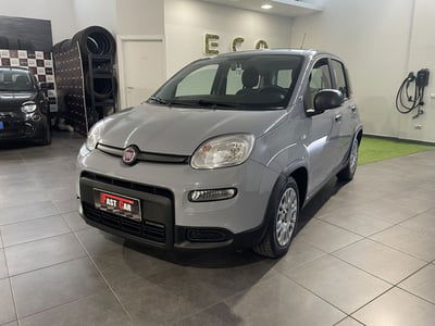 Fiat Panda Cross Cross 1.0 FireFly S&S Hybrid usata