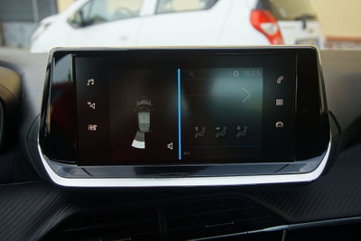 Peugeot 208 BlueHDi 100 Stop&Start 5 porte Active Pack (17)