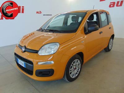 Fiat Panda 1.0 firefly hybrid s&s 70cv 5p.ti usata