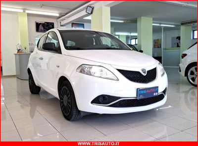 Lancia Ypsilon 1.3 MJT 16V 95 CV 5 porte S&S Silver usata