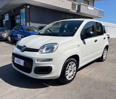 Fiat Panda 1.2 EasyPower Easy usata